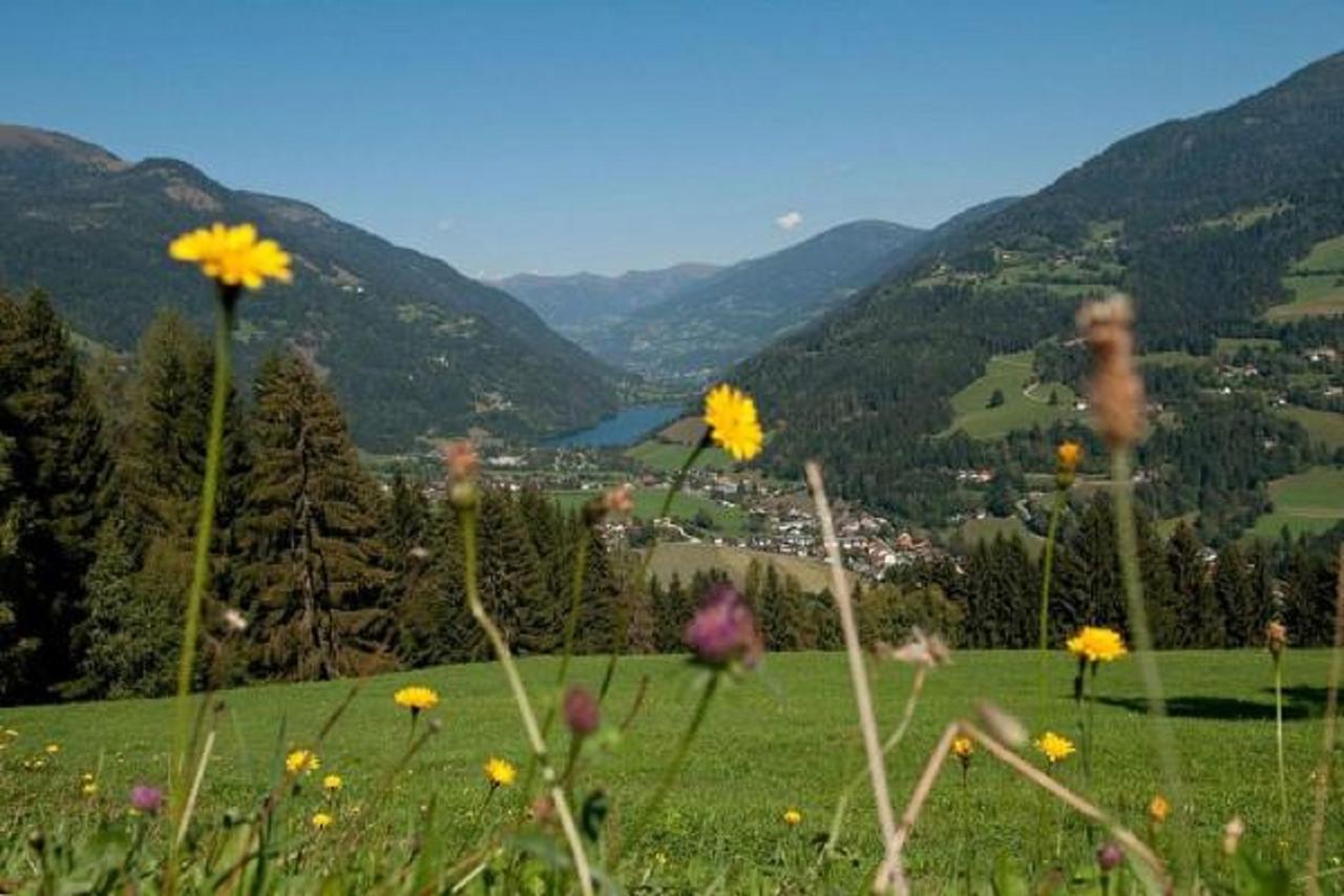 Pension Almhof Afritz am See Exterior foto